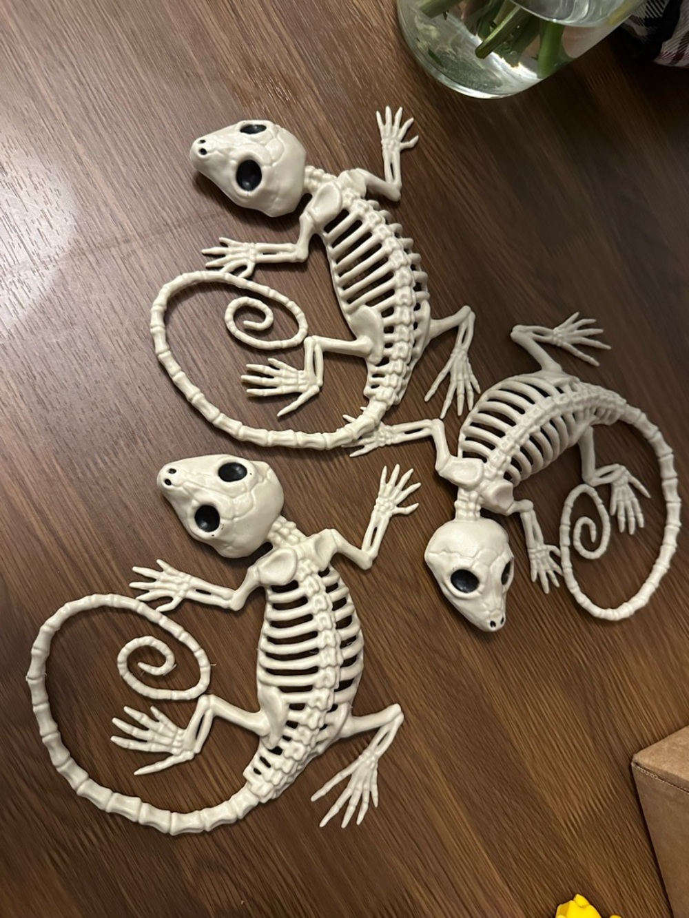 Three gecko skeletons
